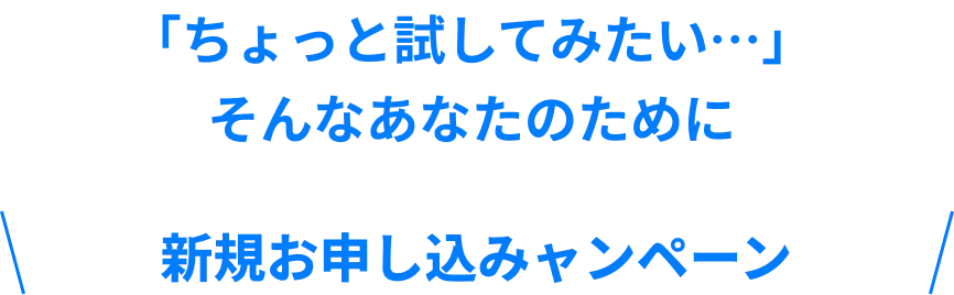 「ちょっと試してみたい…」そんなあなたのために