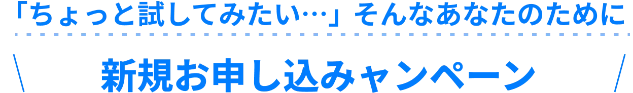 「ちょっと試してみたい…」そんなあなたのために 